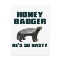 Honey Badger He's So Nasty Postcards