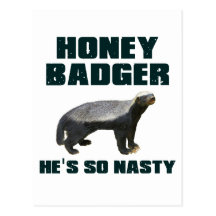 Honey Badger He's So Nasty Postcards