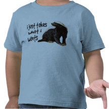 Honey Badger - I just takes what I wants T Shirt