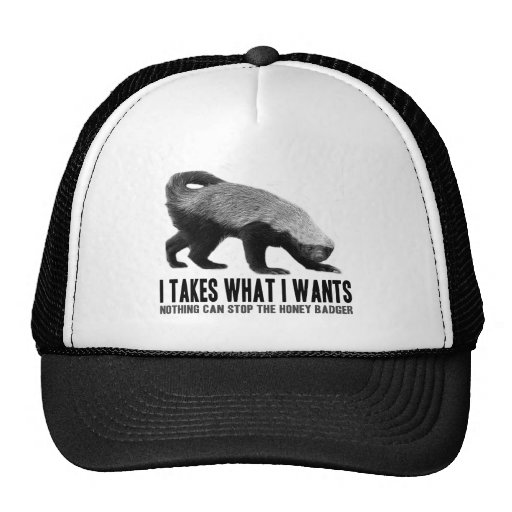 Honey Badger - I Takes What I Wants
