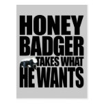 Honey Badger Takes What He Wants Postcard