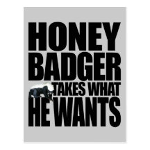 Honey Badger Takes What He Wants Postcard