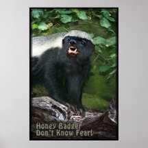 Honey Badger V2 Poster