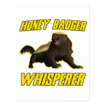 Honey Badger Whisperer Postcard