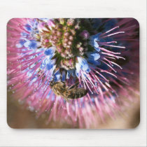 Honey Bee and Flower Mousepad