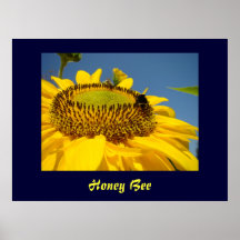 Honey Bee art print Sunflower Garden Canvas art