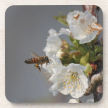 Honey Bee Beverage Coaster