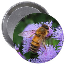 Honey Bee Button