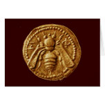 HONEY BEE