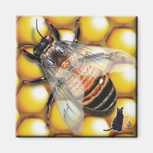 Honey Bee Magnet