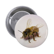 Honey bee pin