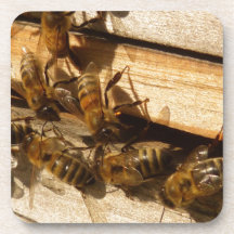 Honey Bees Coaster