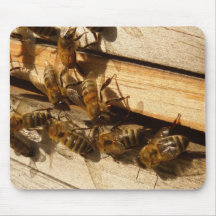 Honey Bees Mousepads