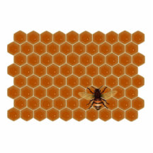 Honey Comb and Bee Photo Cut Out