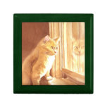 Honey the Cat Jewelry Boxes