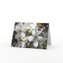 Honeybee Card