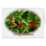 Honeysuckle Berries Merry Christmas Card