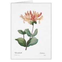 Honeysuckle Card