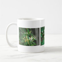 Honeysuckle Coffee Mugs