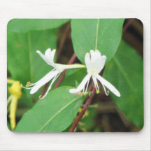 Honeysuckle Mouse Mat