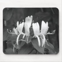 Honeysuckle Mouse Mats