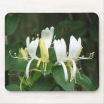 Honeysuckle Mouse Mats