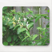 Honeysuckle Mouse Mats