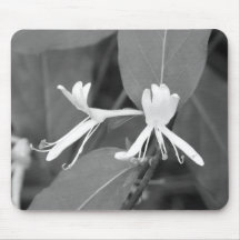 Honeysuckle Mouse Mats