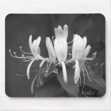 Honeysuckle Mouse Pad