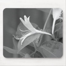 Honeysuckle Mouse Pads
