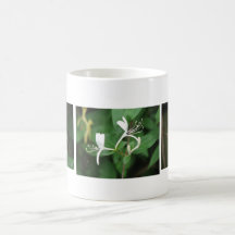 Honeysuckle Mugs