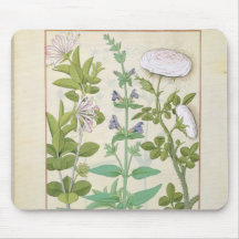 Honeysuckle, Sage and Rose Mouse Pads