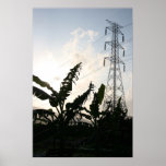 Hongshulin Mangrove, Taipei, Taiwan Print