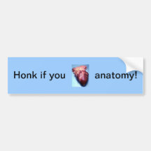 Honk if you love anatomy! bumper sticker