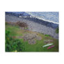 Honoli'i Beach Park Hawaii Postcard