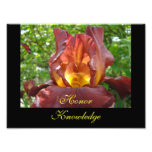 Honour Knowledge Teaching art prints Iris Flowers photography