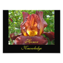 Honour Knowledge Teaching art prints Iris Flowers