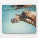 Honu by Marilyn Wear Mousepads