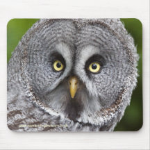 Hoo are You? Mousemat Mouse Pads