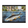 Hooked Fish Post Card