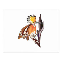 hoopoe bird postcard