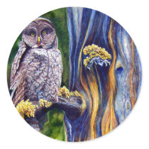 Hoo's Look'n Stickers