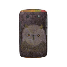 Hootie The Owl Blackberry Bold Covers
