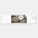 Hope and Change/Barack Obama Bumper Sticker