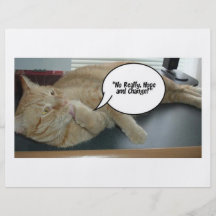 Hope and Change/Cat Humour Flyer Design