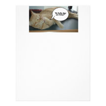 Hope and Change/Cat Humour Letterhead Template