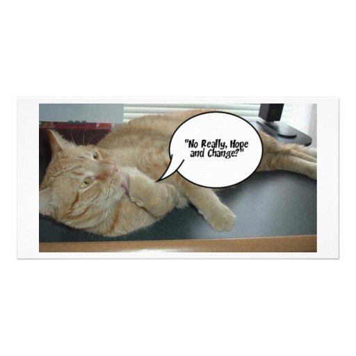 Hope and Change/Cat Humour Photo Card