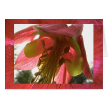 hope card