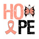 Hope Endometrial Cancer Awareness t-shirts