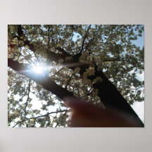 hope forever shines poster